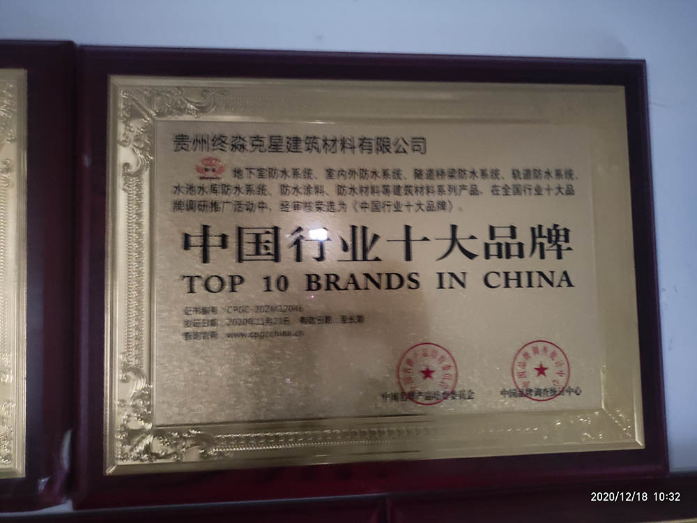 中国行业十大品牌