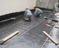 SBS防水卷材与APP防水卷材是有哪些区别?