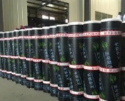 常见的防水建材有哪些？