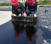 防水涂料有哪些种类